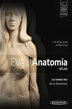 EVA Anatomía Atlas