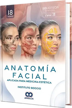 Anatomía Facial